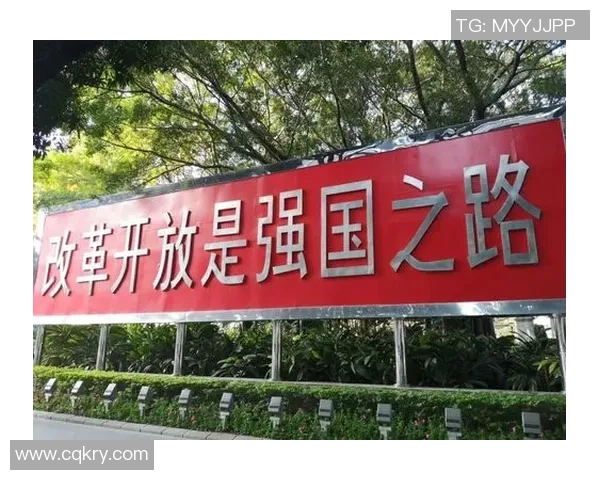 深圳排球队防守革新之路探索与实践的深度分析与展望