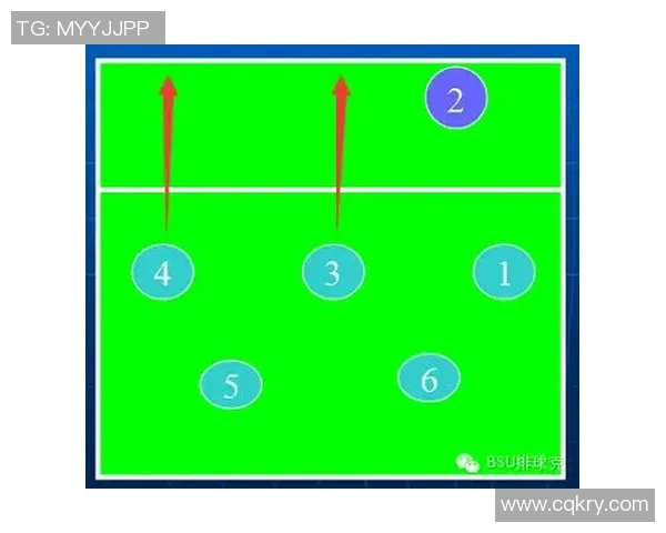 排球巨献：探秘上海排球队的战术